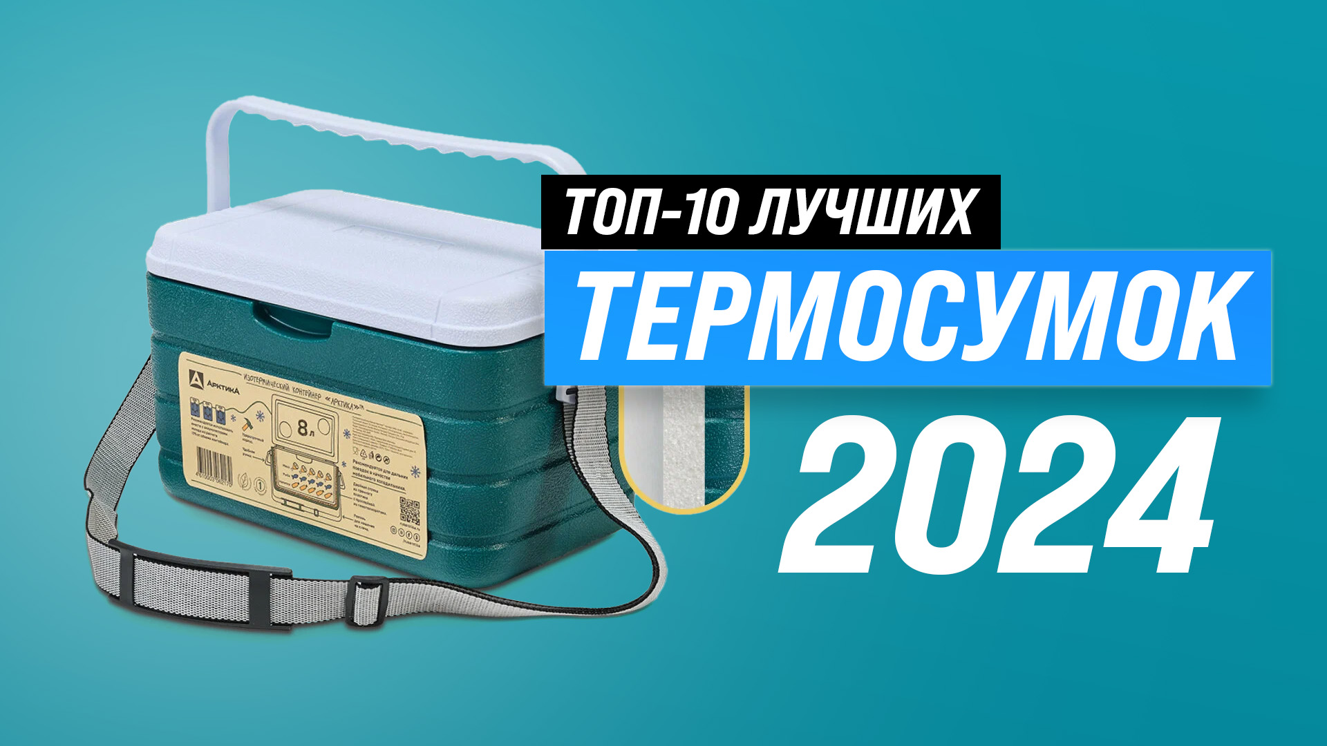 ТОП–10 лучших сумок-холодильников и термоконтейнеров | Рейтинг 2024 года | Как выбрать термосумку?