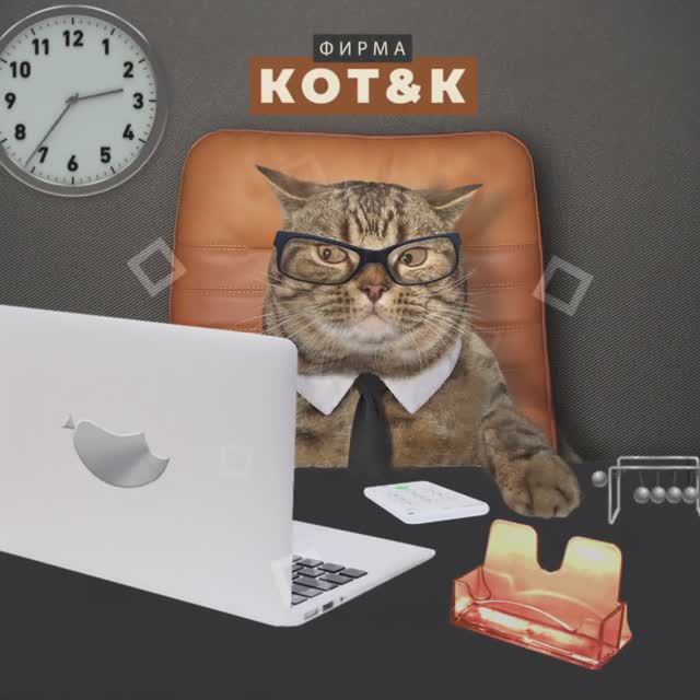 Kot&K