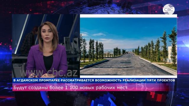 Рассматривается возможность реализации пяти проектов в Агдамском промпарке