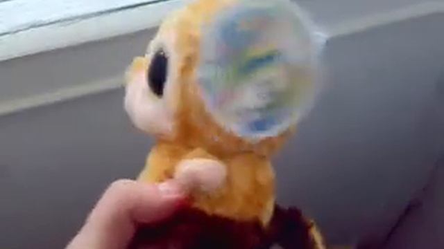 Капуцин