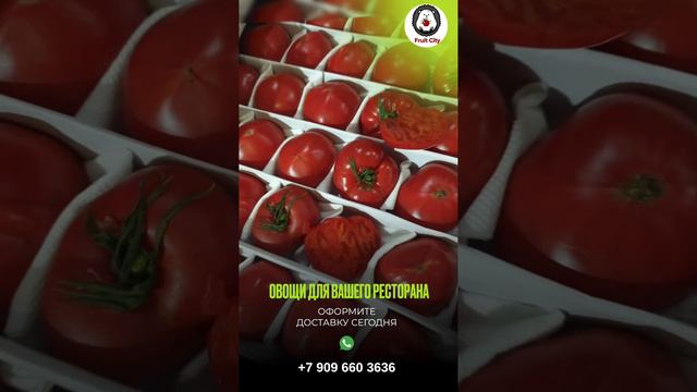 Заказать овощи и фрукты в москве! +7 909 660 3636
