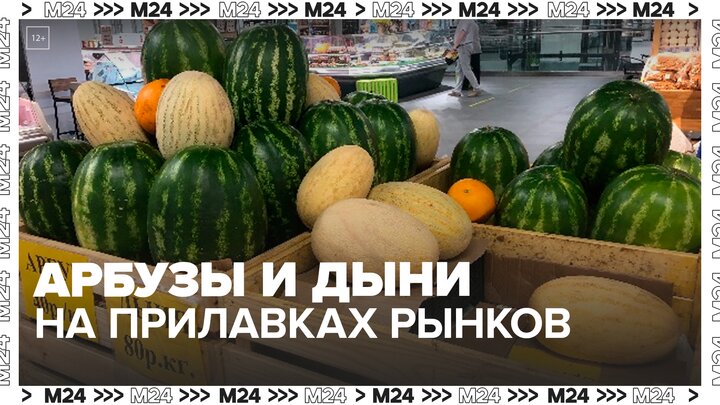 Арбузы и дыни начали появляться на прилавках столичных рынков и магазинов — Москва 24