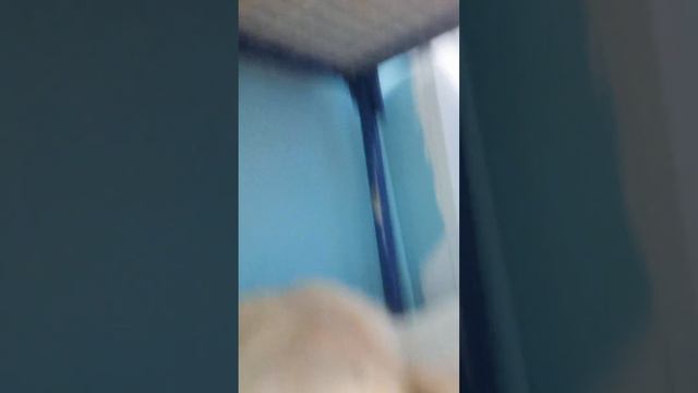 Да нечего делать в лесу