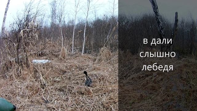весна 17.04.2022..mp4