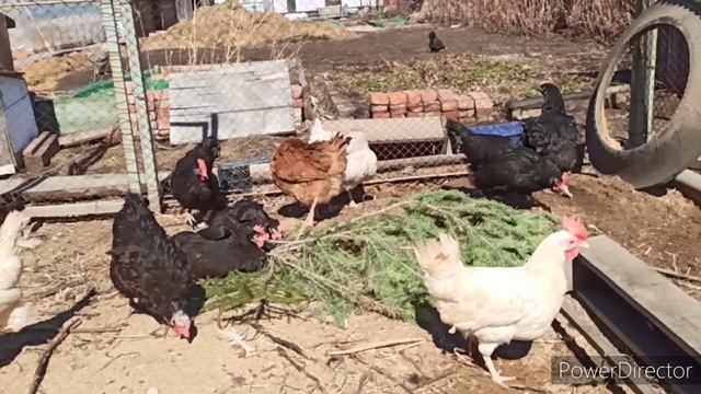 В 38 минут уместился мой день ?.