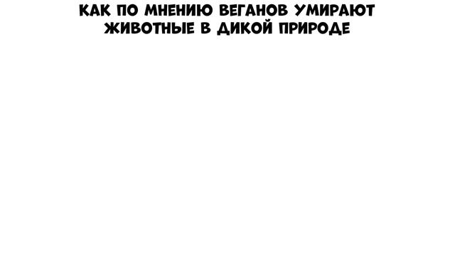 Мемы | Дневная подборка мемов 603
