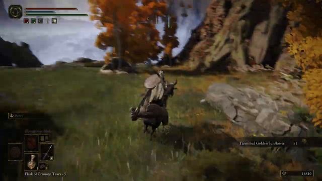 Episode 24: "Back Onto Dry Land", The Quest To Git Gud In Elden Ring