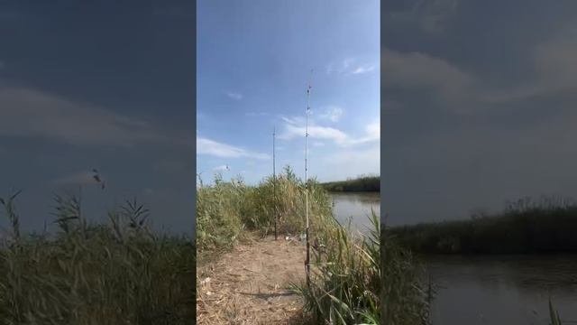 рыбалка Дагестан
