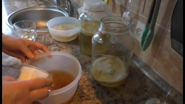 чайный гриб или комбуча Kombucha очень полезно и вкусно