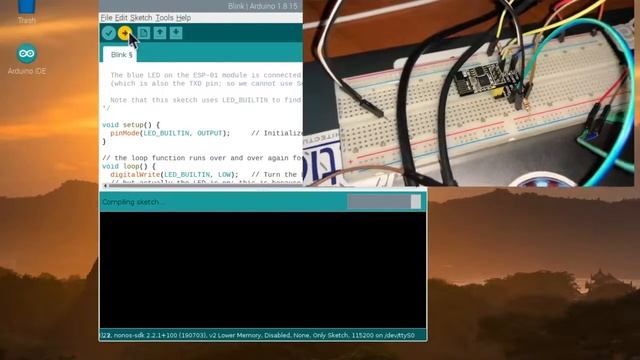 How to programme the ESP8266 board using a USB adapter Raspberry Pi or Arduino