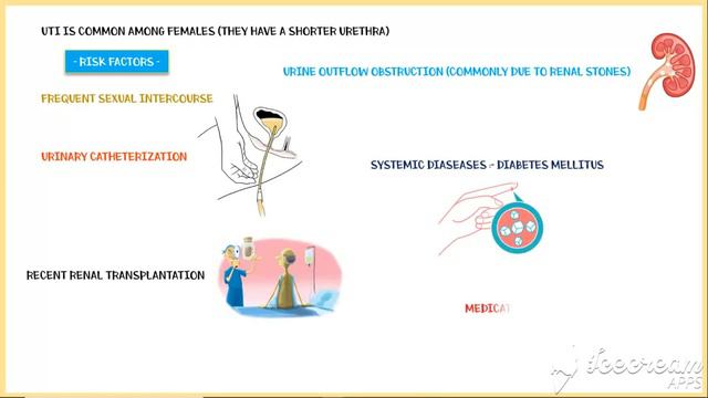 Urinary Tract Infection (UTI) Symptoms, Causes & Risk Factors