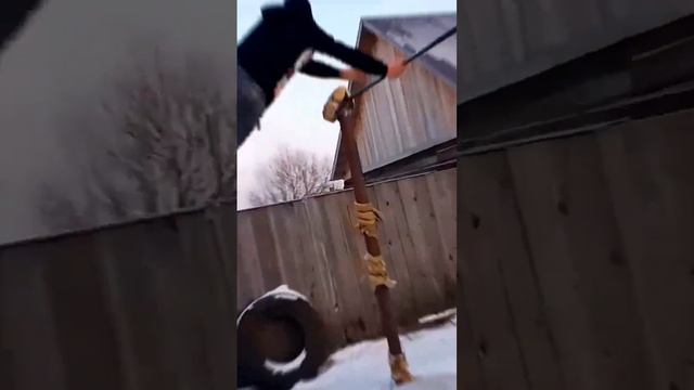 смогу взять кумкват?