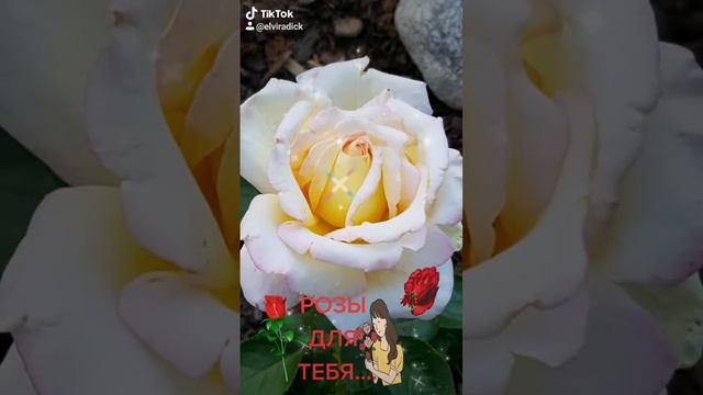 ДЛЯ ТЕБЯ,МОЯ ПОДРУГА...