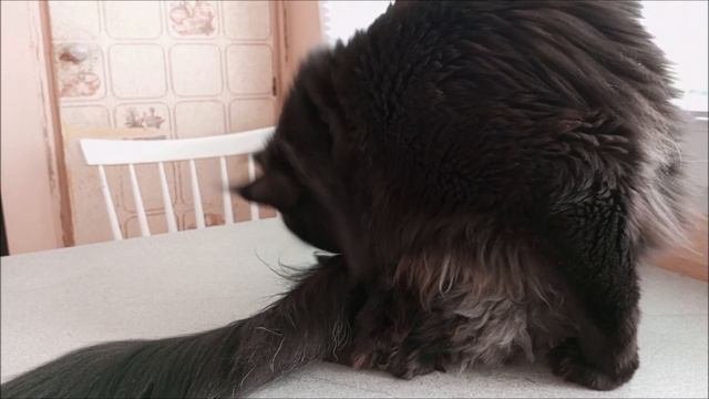 Сильный ветер и у малыша нет настроения.