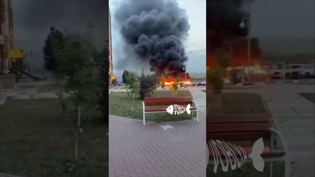 Последствия обстрелов ВСУ мирных районов Белгорода