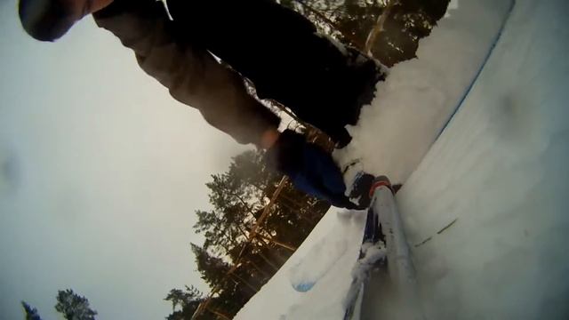 Миша и камера 14 01 2015