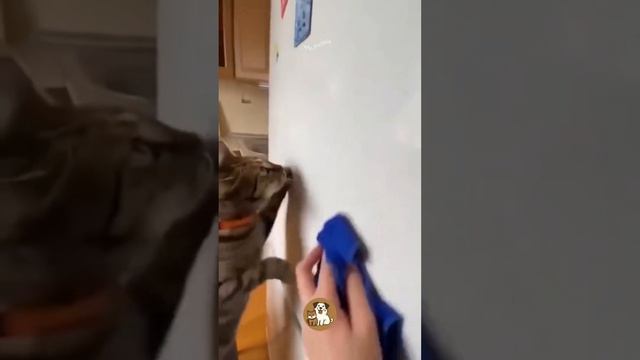 1000016130.mp4