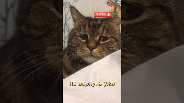 сам делалл