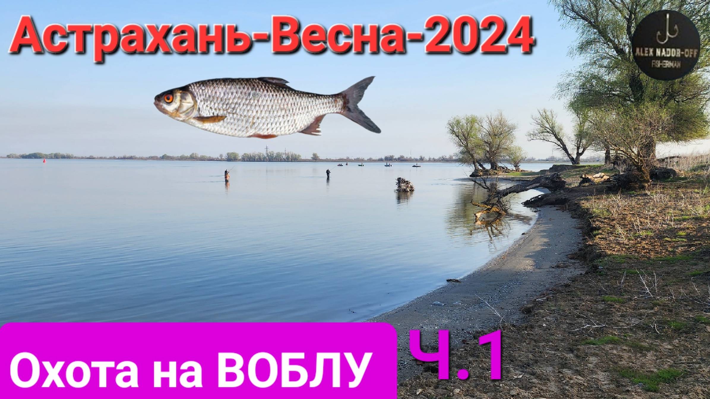 🔥Охота на ВОБЛУ. Волга-Апрель-2024 г. Астрахань!!! Часть №-1