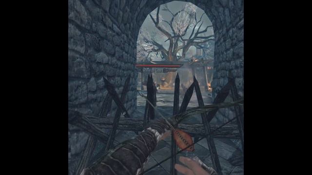 There's No COVID In Skyrim