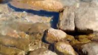 Sony DSC-T200 high quality test video