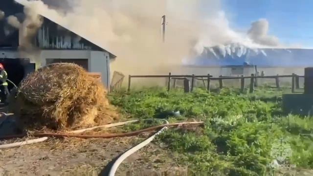 Пожар на ферме село Ивановское.