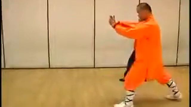 Шаг 25 30 боевые искусства Шаолиня Кунг Фу Шаолинь