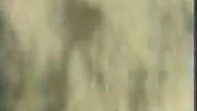 staroetv su   Реклама шампуня Organics 1998