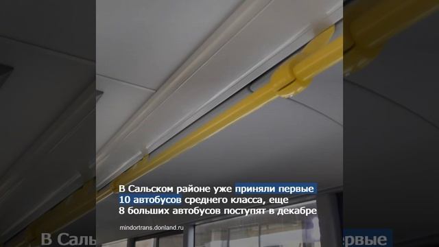Новые автобусы