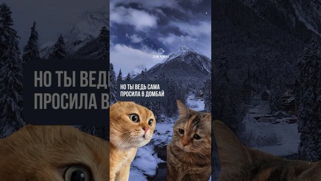 История из жизни?#юмор