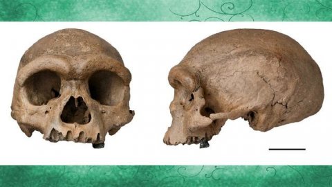 Китайские ученые заявили, что обнаружили новый вид древних людей - человека-дракона. Что означа