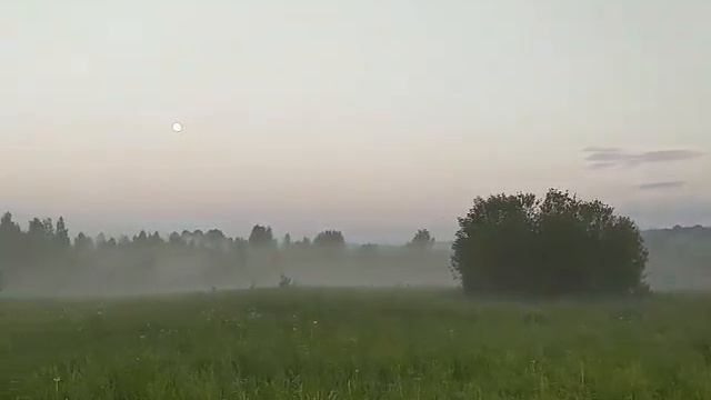 Пошли девки в лес гулять...