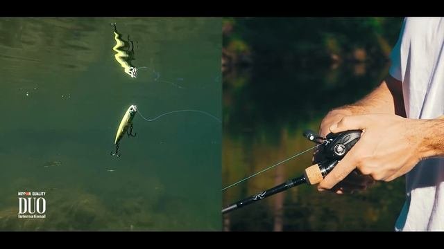 Lure Masterclass: Realis Pencil 65 -  How To