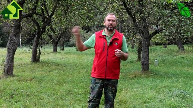 ОСЕННИЙ УХОД ЗА ВЗРОСЛЫМ САДОМ. Подготовка деревьев к зиме: обследование, обрезка, санация.