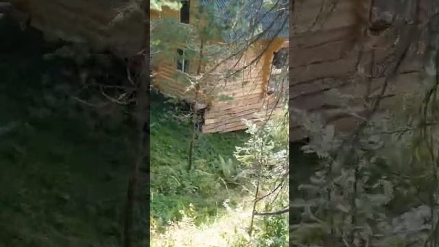 "Усадьба Бабы Яги" турбаза оз.Телецкое Артыбаш Горный Алтай