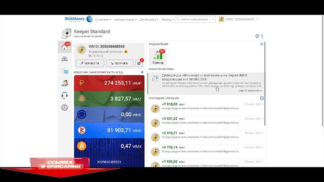 Новая Схема Заработка, от 7000 рублей за 24 часа!..mp4