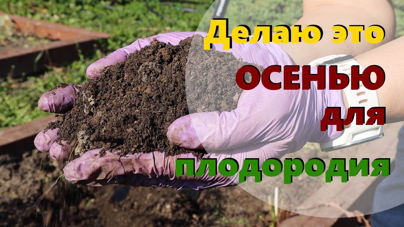 Повышаем плодородие земли ОСЕНЬЮ. Что сделать с грядкой после сбора урожая