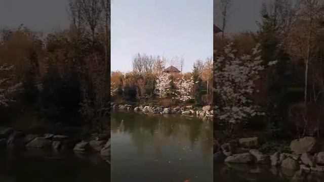 Японский сад в Краснодаре Парк Галицкого 🌞 приглашаю прогуляться вместе со мной по парку