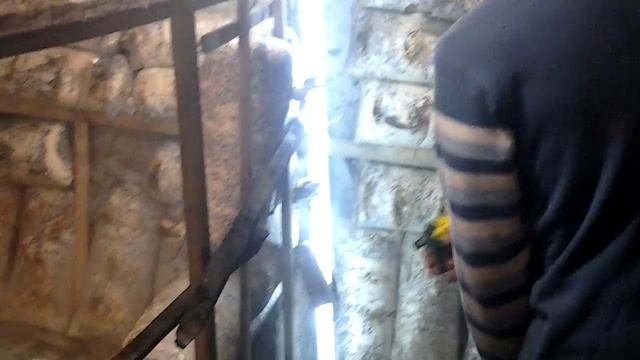 Полив вешенки в помищении
