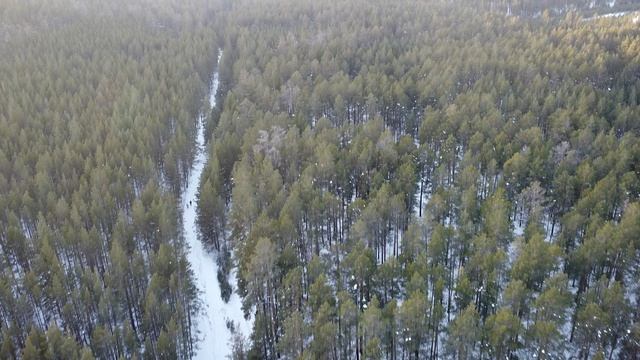 Зимний лес. снято на DJI mini 2
#Зима #Лес #Зимняя прогулка #Бурятия