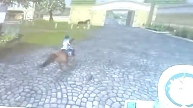 Новые собачки и квест!| STAR STABLE