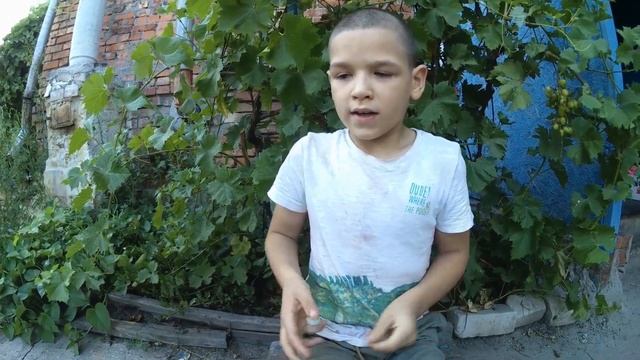 Vlog 28 07 2020 Новая мухобойка/суп гречневый и кабачки запечённые