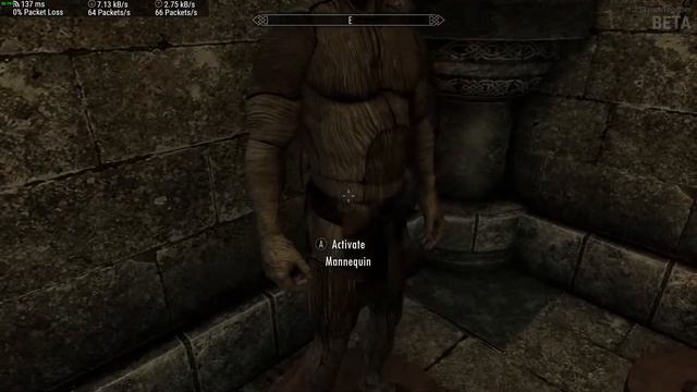 Skyrim Special Edition : Mannequins