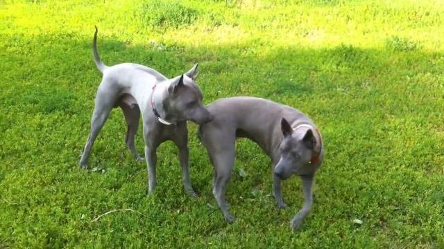Мама Эстель с сыном )) (Mother With Her Son...)