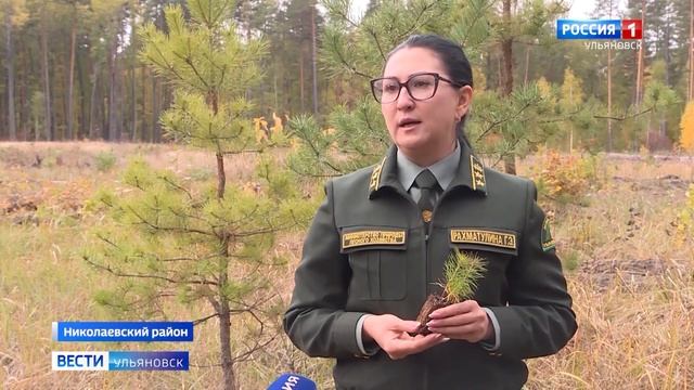 Ко Всероссийской акции "Сохраним лес" уже присоединились больше шестидесяти регионов России