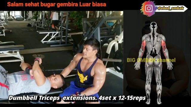 LATIHAN OTOT TRICEPS FULL