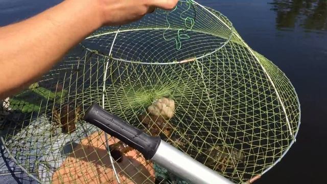 ИЩЕМ МЕСТО ДЛЯ ЛОВЛИ РАКОВ. ПРОСТОЙ СПОСОБ НАЛОВИТЬ РАКОВ РАКОЛОВКОЙ. МЕСТО ДЛЯ УСТАНОВКИ РАКОЛОВКИ