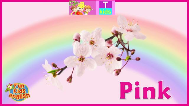 English - Colours - pink