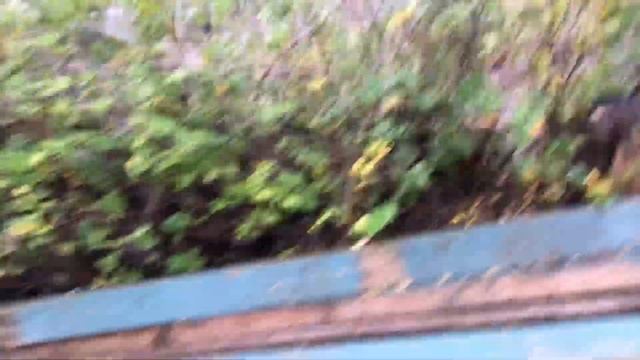Ryobi OGS 1822 whats this ?? shrub  hedge trimmer