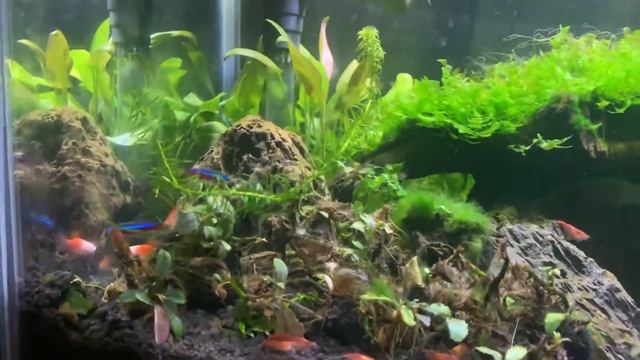 Aquaspace Newbie